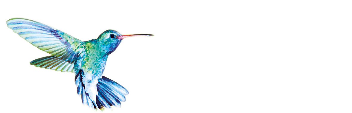 Van Wijngaarden